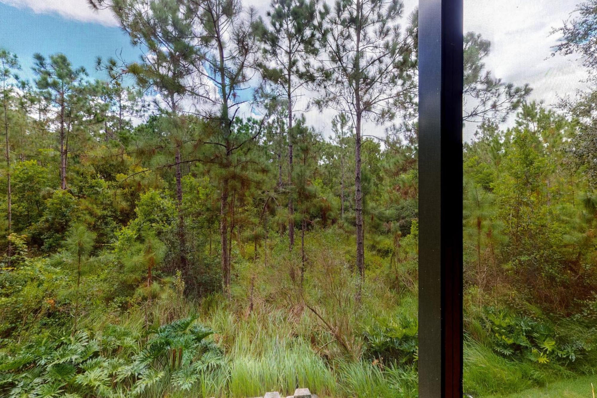 Caribe Cove Resort Kissimmee Ruang foto